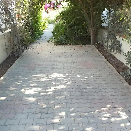 çalış *