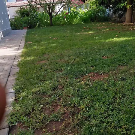 Calis